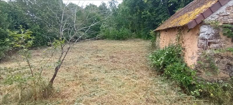 Vente Maison ST PLANTAIRE - 3 pièces -60 m² - (36190)