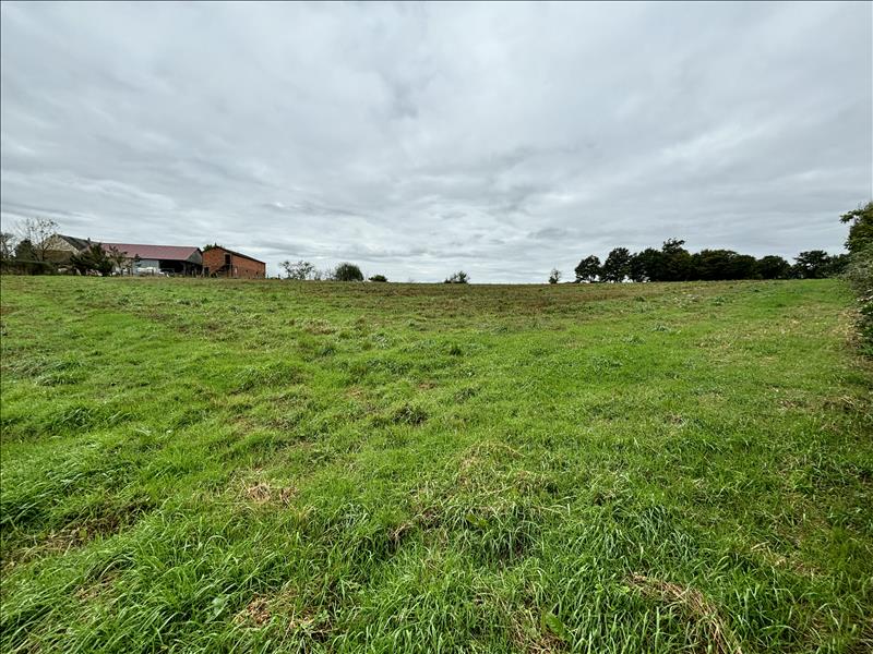 Vente Terrain VILLARD - -11047 m² - (23800)
