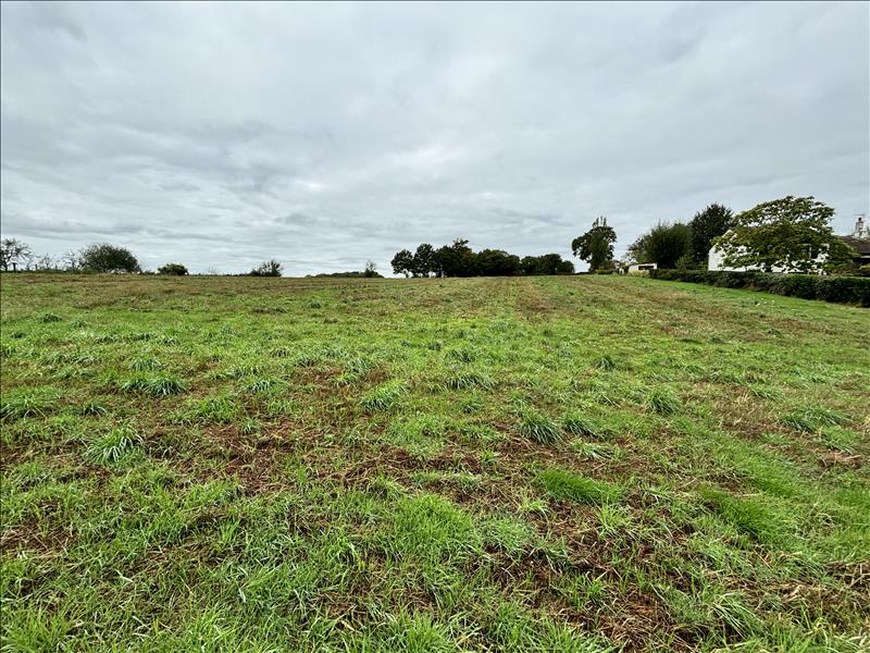 Vente Terrain VILLARD - -11047 m² - (23800)