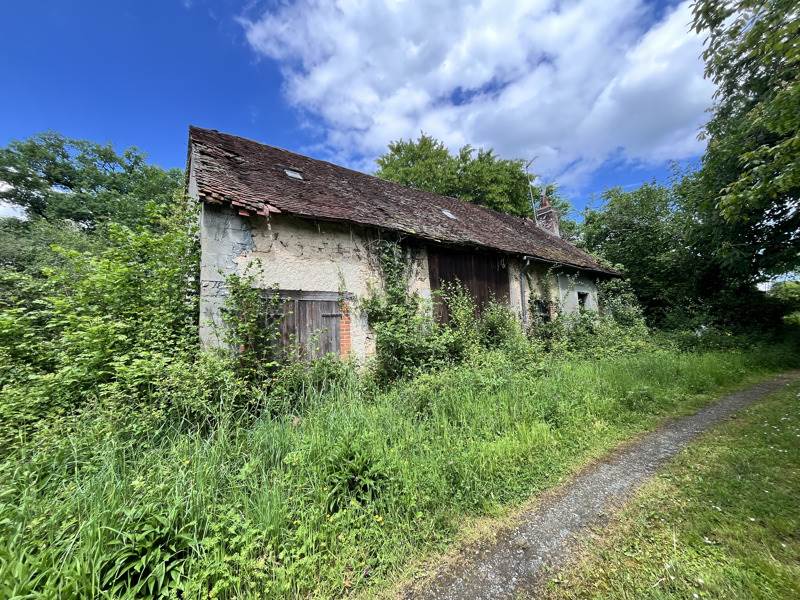 Vente Maison LOURDOUEIX ST MICHEL - 3 pièces -38 m² - (36140)