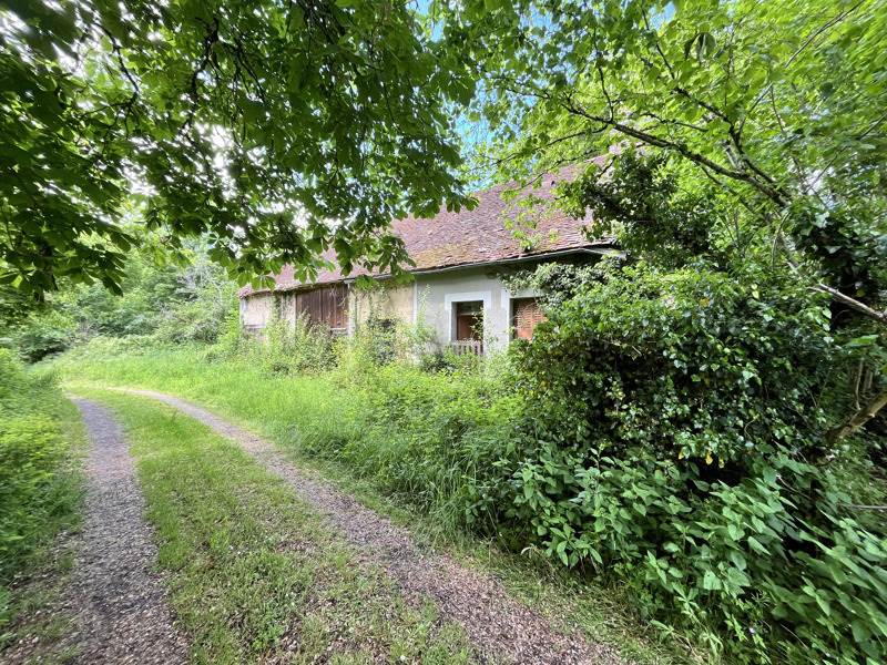 Vente Maison LOURDOUEIX ST MICHEL - 3 pièces -38 m² - (36140)