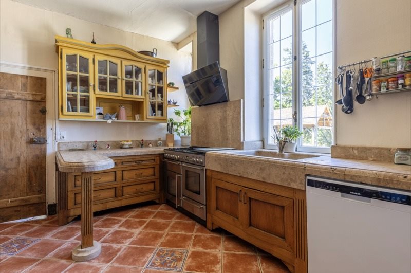 Vente Château AIGURANDE - 19 pièces -530 m² - (36140)