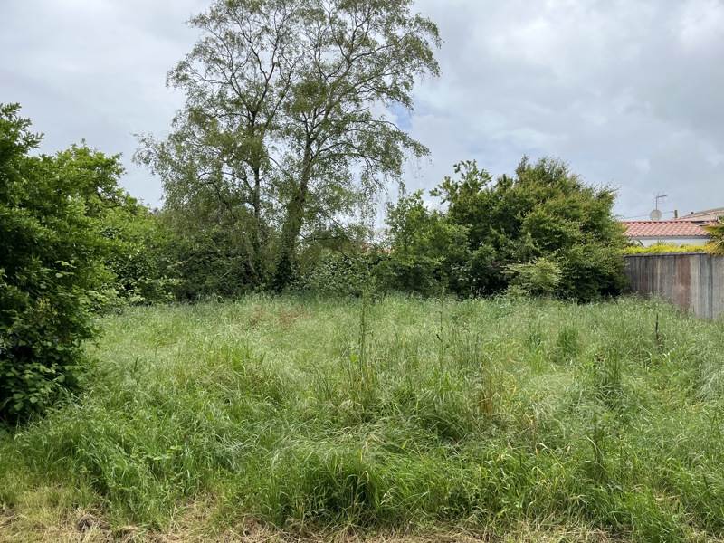 Vente Terrain LA ROCHELLE - -481 m² - (17000)