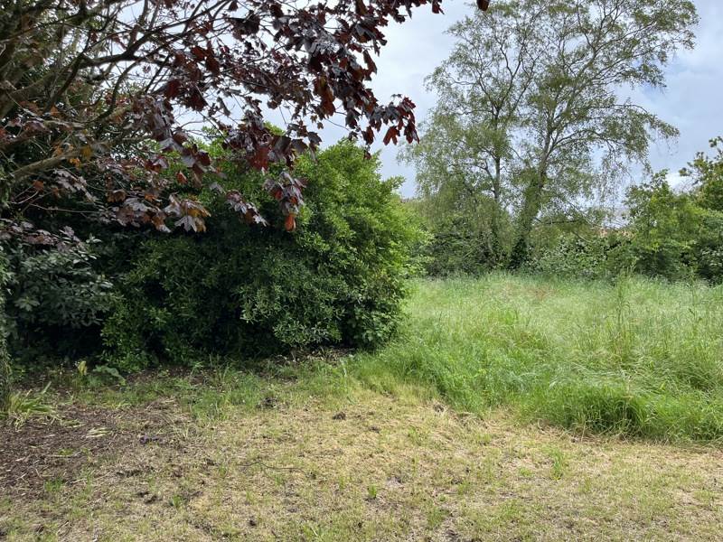 Vente Terrain LA ROCHELLE - -481 m² - (17000)