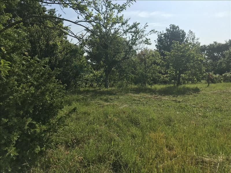 Vente Terrain VERDILLE - -1322 m² - (16140)