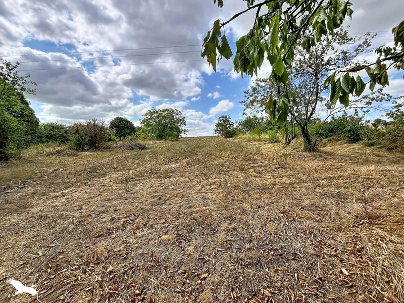 Vente Terrain ROUILLAC - -1917 m² - (16170)