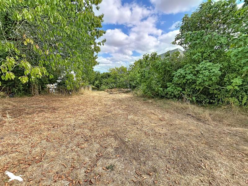 Vente Terrain ROUILLAC - -1917 m² - (16170)
