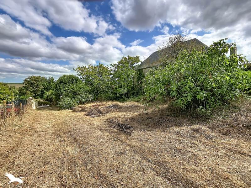 Vente Terrain ROUILLAC - -1917 m² - (16170)