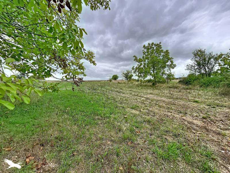 Vente Terrain Rouillac - -1917 m² - (16170)