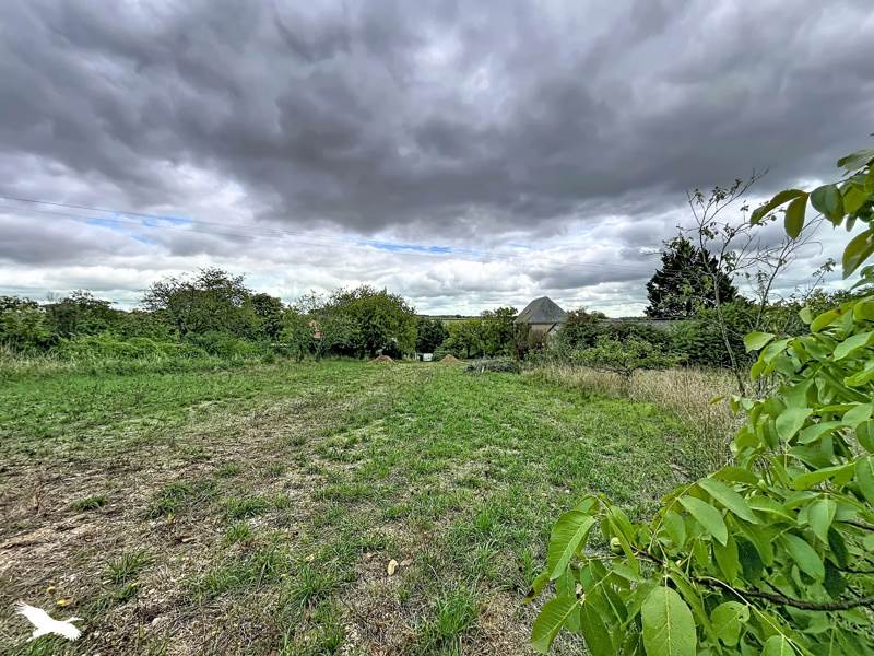 Vente Terrain Rouillac - -1917 m² - (16170)