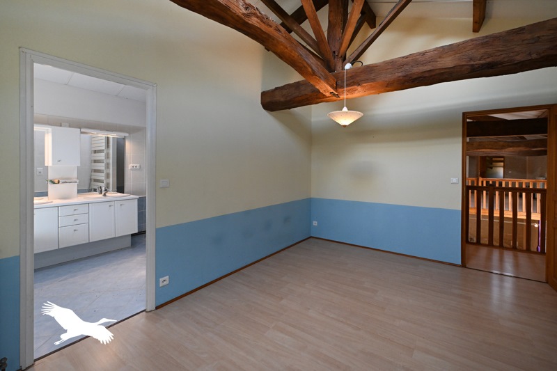 Vente Maison VERDILLE - 11 pièces -390 m² - (16140)