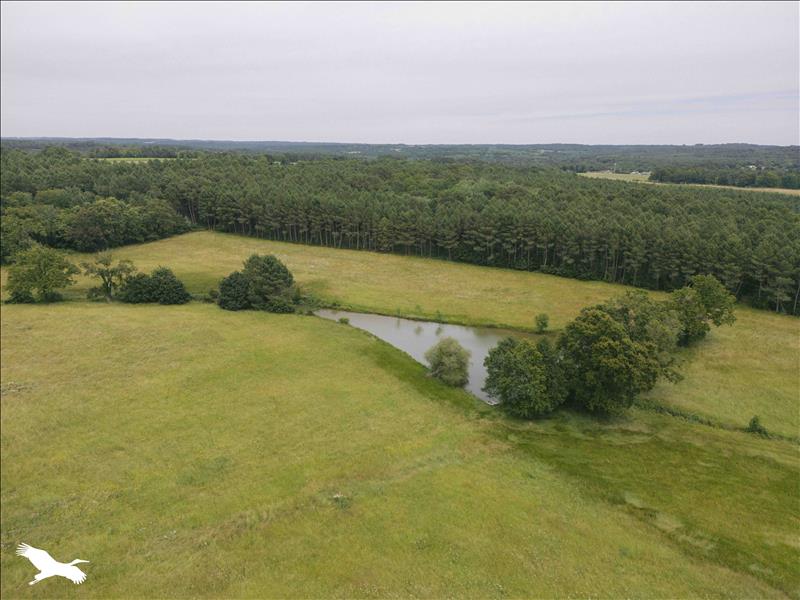 Vente Maison MONTGUYON - 5 pièces -110 m² - (17270)