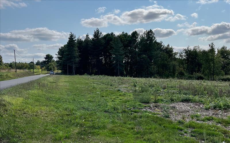 Vente Terrain MONTGUYON - -4119 m² - (17270)