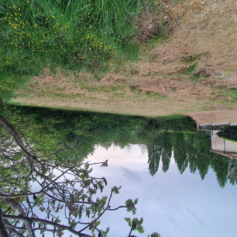 Vente Terrain MONTGUYON - -720 m² - (17270)