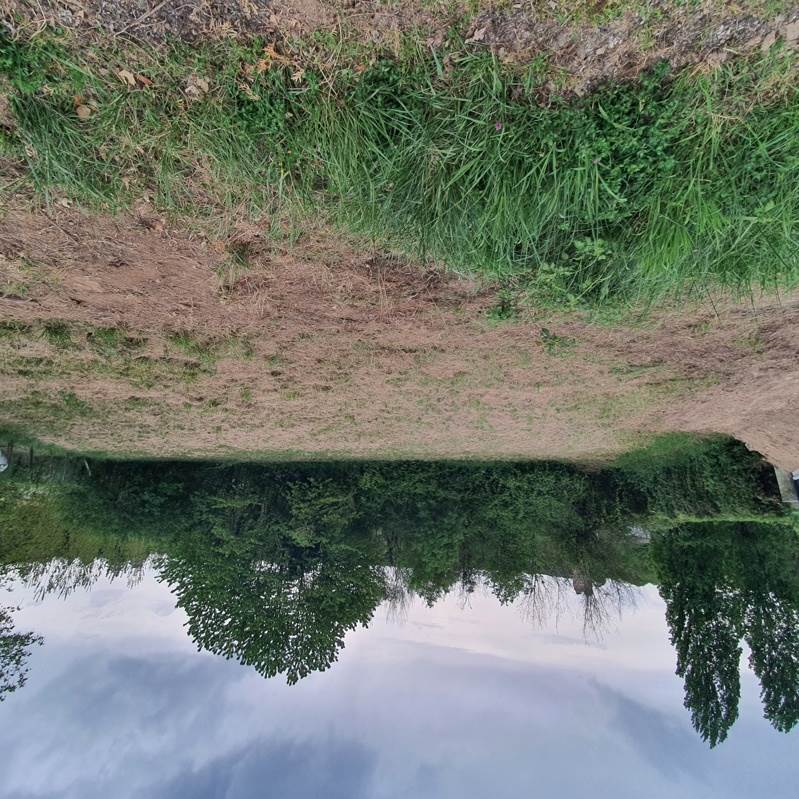 Vente Terrain MONTGUYON - -720 m² - (17270)