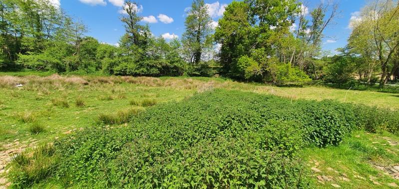 Vente Maison CLERAC - 3 pièces -63 m² - (17270)