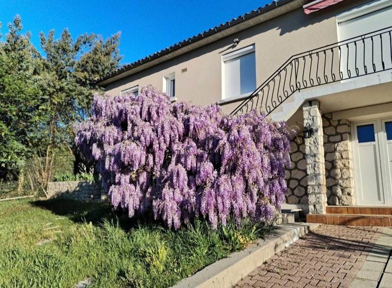 Vente Maison MONTGUYON - 5 pièces -149 m² - (17270)