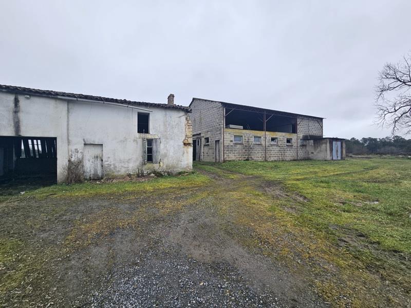 Vente Maison NEUVICQ - 5 pièces -113 m² - (17270)