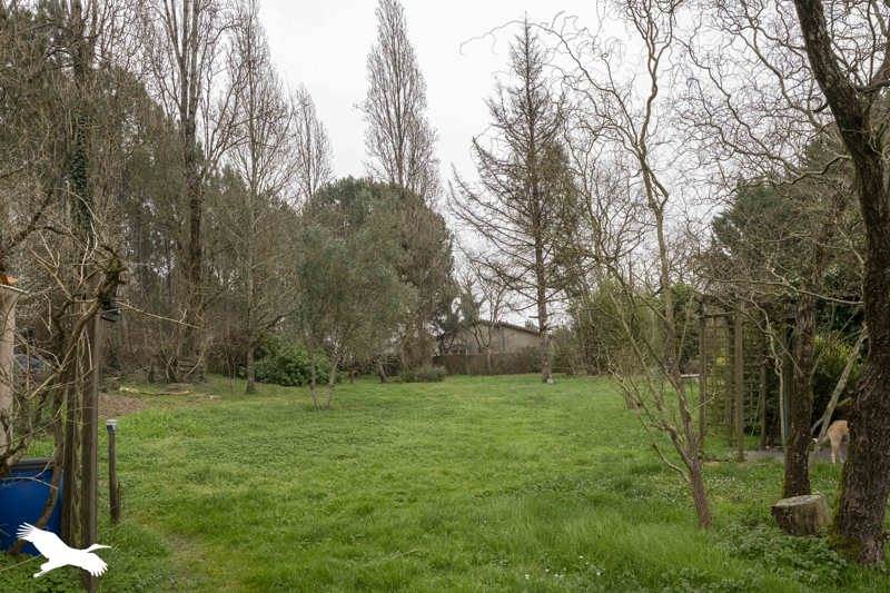 Vente Maison LE FOUILLOUX - 4 pièces -141 m² - (17270)