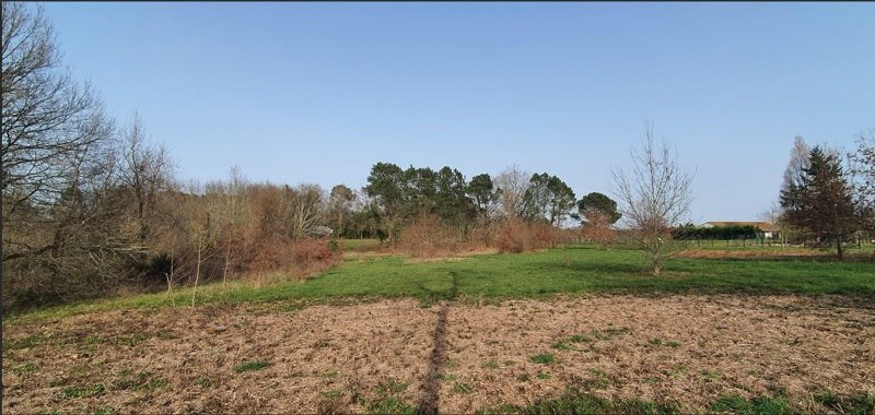 Vente Terrain CERCOUX - -1453 m² - (17270)