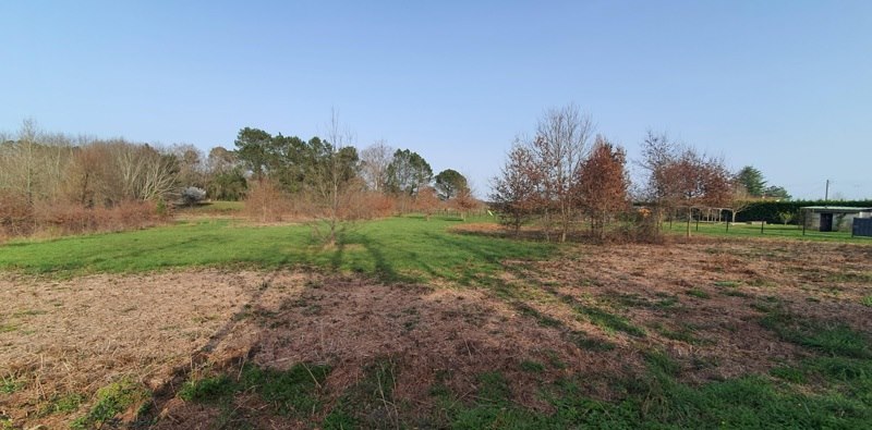 Vente Terrain CERCOUX - -1305 m² - (17270)