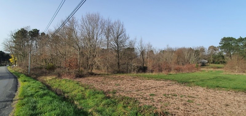 Vente Terrain CERCOUX - -2050 m² - (17270)