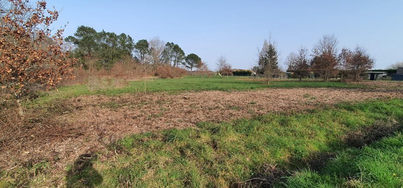 Vente Terrain CERCOUX - -2026 m² - (17270)