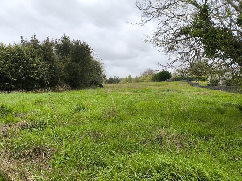 Vente Terrain MONTGUYON - -4206 m² - (17270)