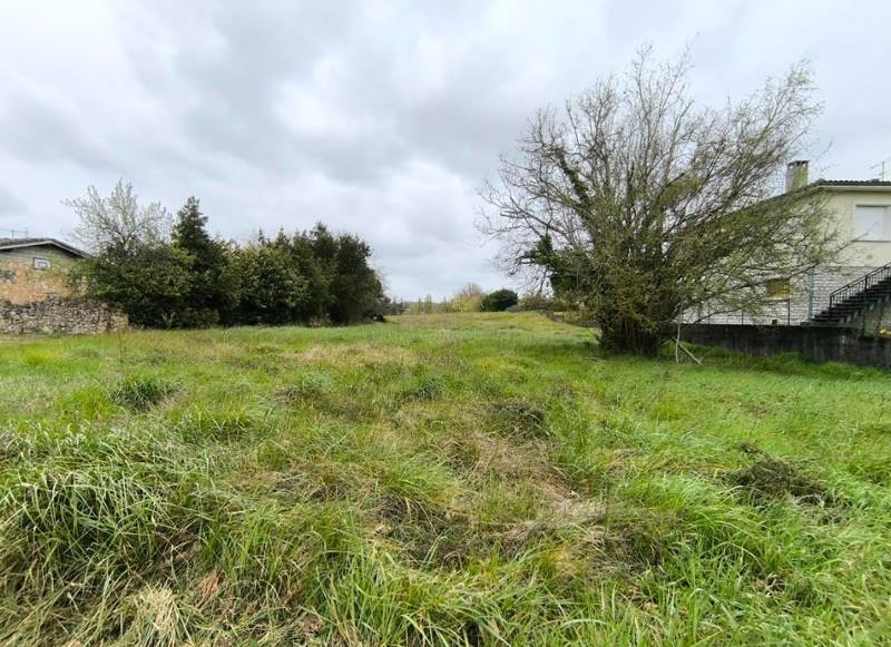 Vente Terrain MONTGUYON - -4206 m² - (17270)