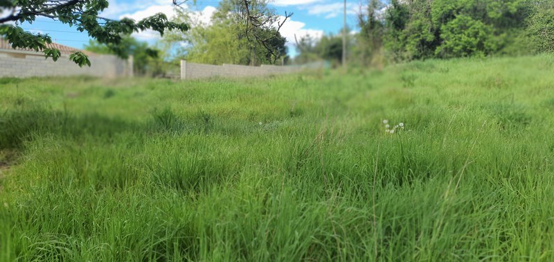 Vente Terrain LE FOUILLOUX - -617 m² - (17270)