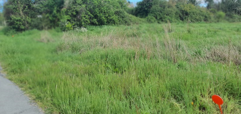 Vente Terrain LE FOUILLOUX - -617 m² - (17270)