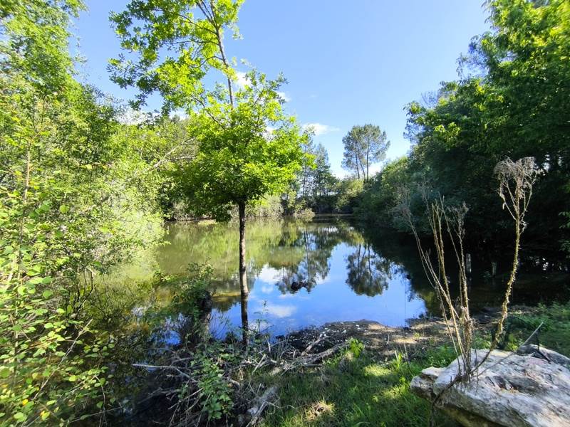 Vente Maison MONTGUYON - 6 pièces -183 m² - (17270)