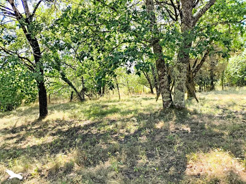 Vente Maison CERCOUX - 4 pièces -190 m² - (17270)