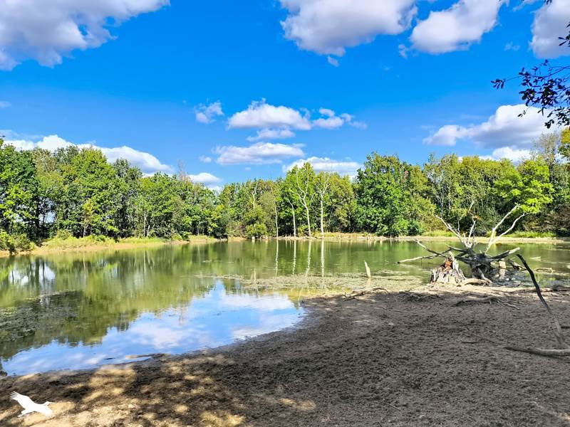 Vente Maison MONTLIEU LA GARDE - 5 pièces -193 m² - (17210)