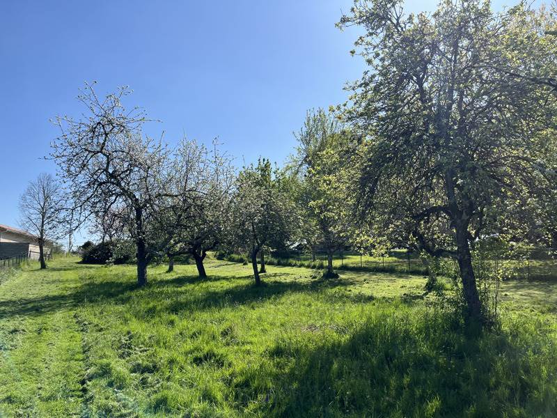 Vente Maison SIGALENS - 5 pièces -158 m² - (33690)