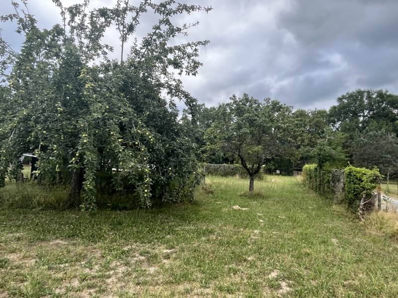 Vente Terrain BAZAS - -2139 m² - (33430)