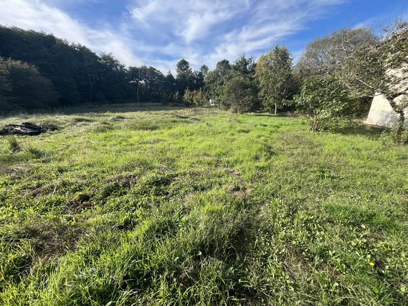 Vente Maison GOUALADE - 14 pièces -450 m² - (33840)