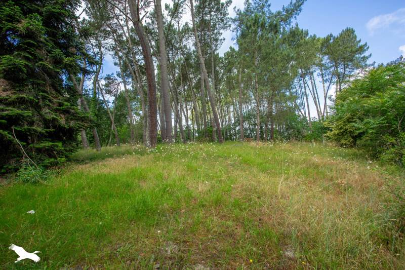 Vente Maison PRECHAC - 4 pièces -92 m² - (33730)