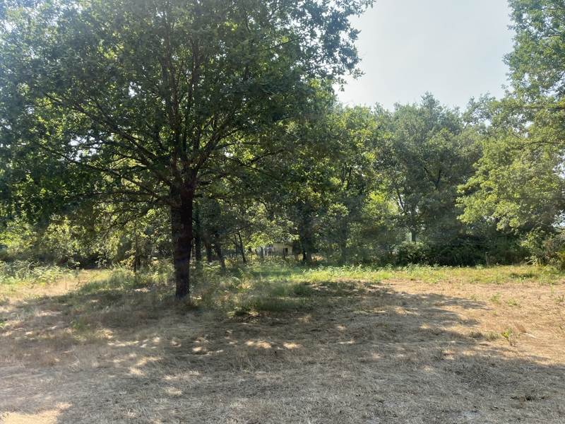 Vente Terrain GISCOS - -4759 m² - (33840)
