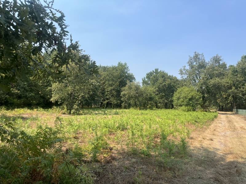 Vente Terrain GISCOS - -4759 m² - (33840)