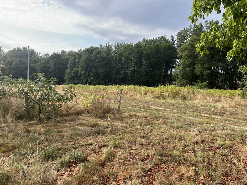 Vente Maison BAZAS - 6 pièces -114 m² - (33430)