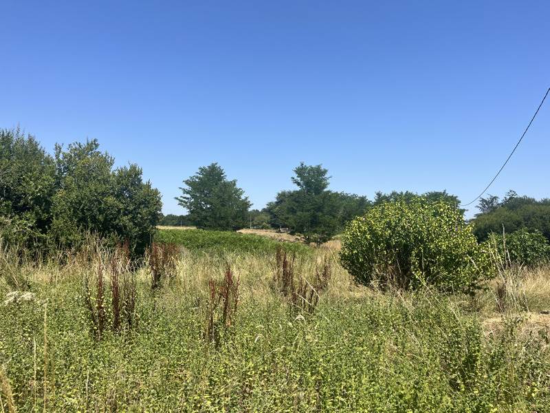 Vente Maison BAZAS - 6 pièces -114 m² - (33430)