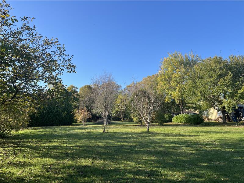 Vente Terrain CADOURS - -1518 m² - (31480)
