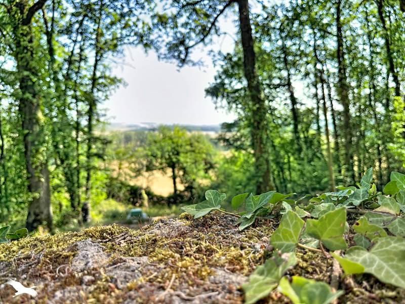 Vente Maison SOLOMIAC - 6 pièces -210 m² - (32120)
