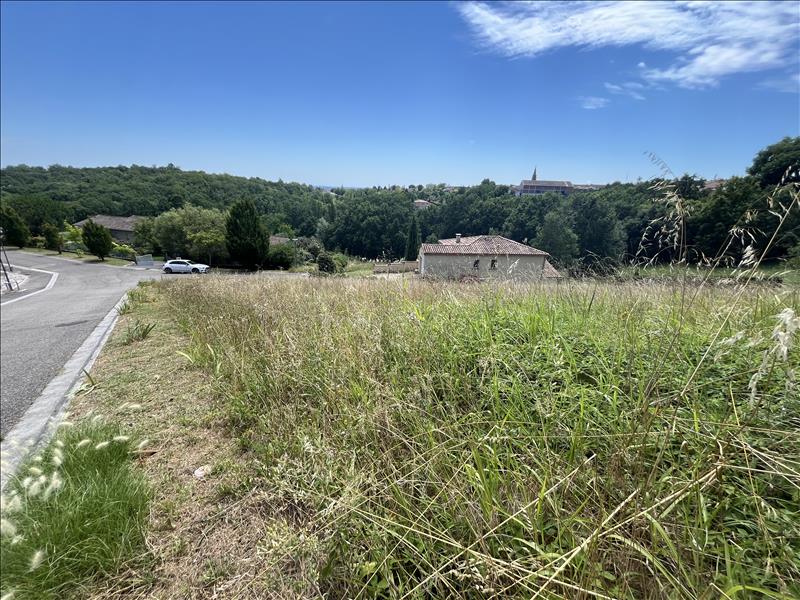 Vente Terrain LAFRANCAISE - -705 m² - (82130)