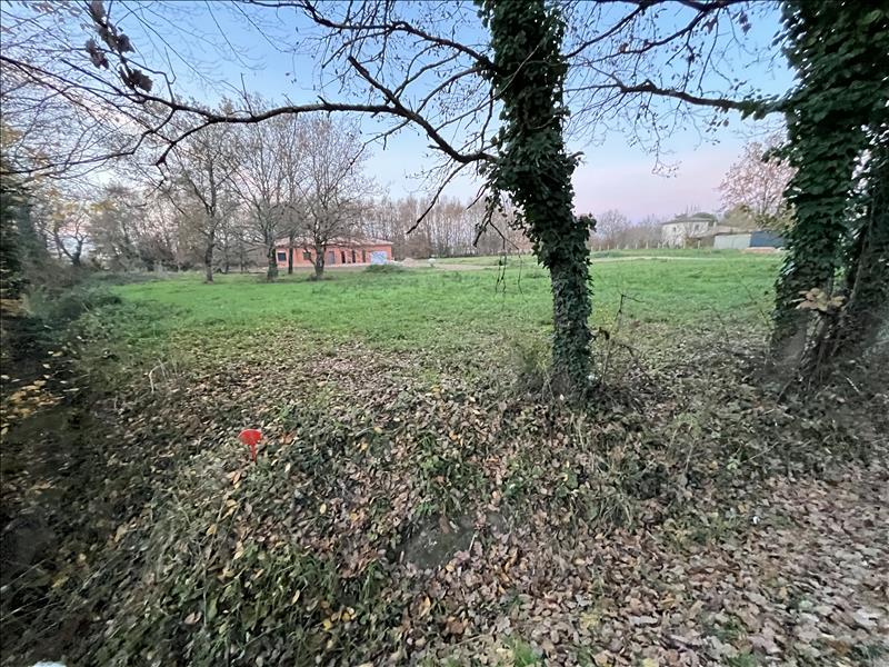 Vente Terrain LABASTIDE DU TEMPLE - -1186 m² - (82100)