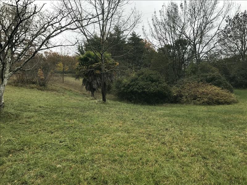 Vente Terrain AUCH - -2000 m² - (32000)