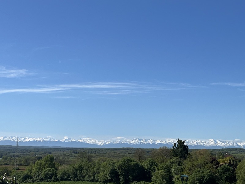 Vente Terrain LASSERAN - -1529 m² - (32550)