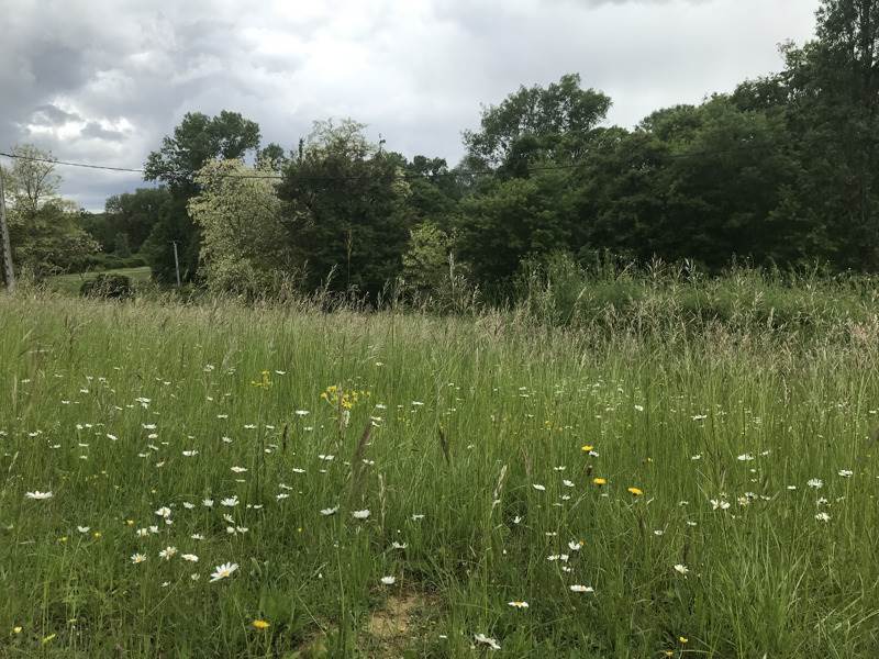 Vente Terrain ORBESSAN - -3499 m² - (32260)