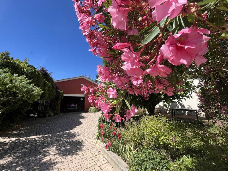 Vente Maison AUCH - 5 pièces -145 m² - (32000)